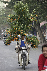 New Year's Tree